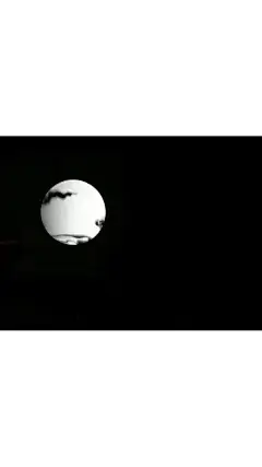 @你看那是岸_朱夫人（由于壁纸有一部分自制，所以转壁纸请加关注注明出处，蟹蟹）平铺，可爱，女王范，黑色，黑白，白色，锁屏，ins风，潮，御姐，动漫，卡通，风景，古风，流行，欧美，情侣壁纸
