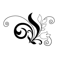 用脚做稿采集到花纹