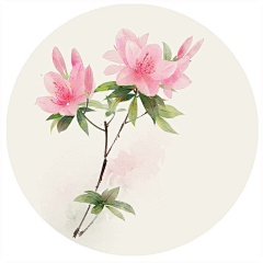 shling采集到季节