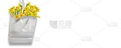 春天,贺卡,清新,背景分离,传统节日,水仙花,礼物,纸袋,白色,黄色