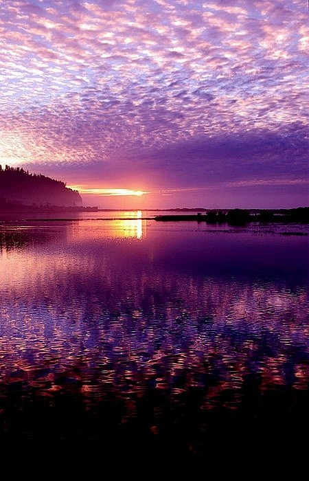 Purple Sky Sunset......