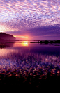 Purple Sky Sunset...♡♡♥