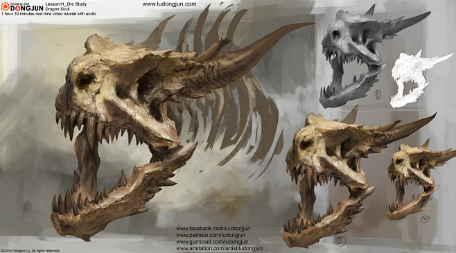 Dragon skull, Dongju...