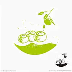 陈皮普洱 小青柑 矢量 手绘