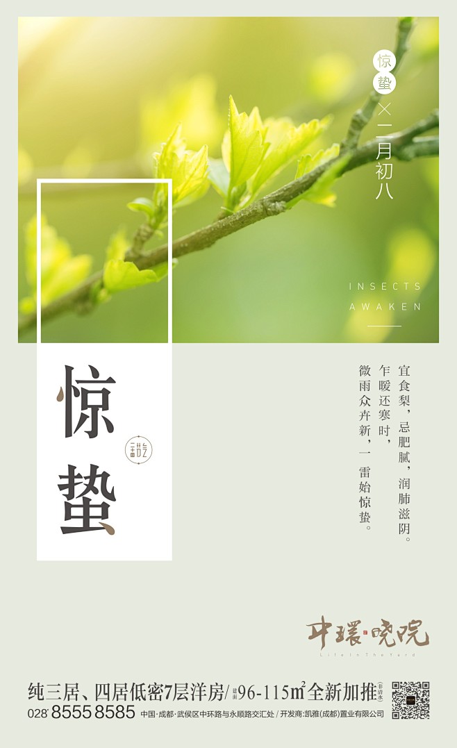 惊蛰微信稿01