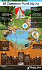 <a class="pintag" href="/explore/Infographic" title="#Infographic explore Pinterest">#Infographic</a> of pond myths that many people have about backyard water gardens. Created by <a href="/homesalive/"