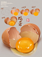 iPad美食插画 鸡蛋