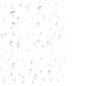 水珠
