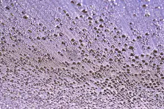 背景与水滴，冷凝，气泡-多种颜色