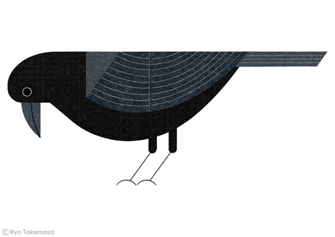 Bird handbook : Illu...