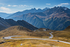 阿旺困告告采集到animal/自然风景