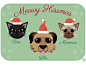 A Christmas card featuring my two cats Brie and Mimieux and my best friend's dog, Lila.