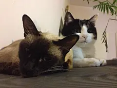 来自相册
