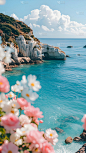 夏天实景感光影海景礁石花朵背景