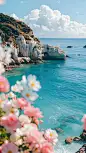 夏天实景感光影海景礁石花朵背景