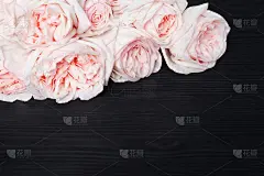 精致的淡粉色玫瑰黑色木质背景近景，美丽的白色和红色鲜花花束上深色木质，生日贺卡，情人节，婚礼框架，花