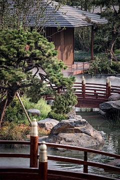 juzhangyu采集到庭院景观—中式