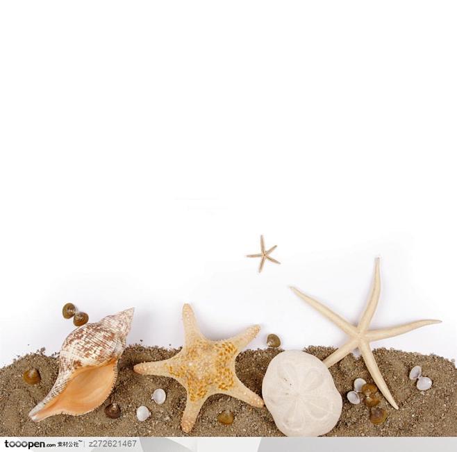 海滩和贝壳海螺海星高清摄影桌面壁纸图片素...