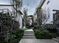 DSCF4953-编辑.jpg