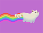 Rainbowcat