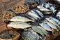 印度,鱼市,喀拉拉邦,不完全的,饮食,水平画幅,生食,海产,明虾,市场