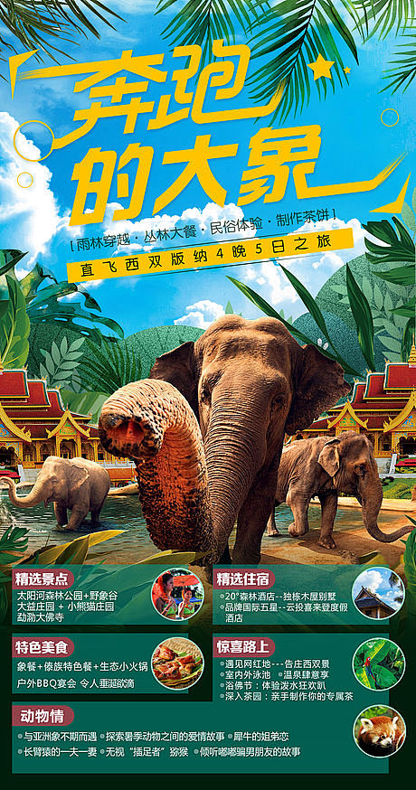 源文件下载海报旅游西双版纳大象雨林景点插画