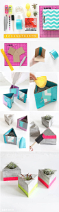 MY DIY | Triangle Cement Airplant Holder | I SPY DIY: 