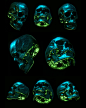 Billelis Skull Photo Stock Pack