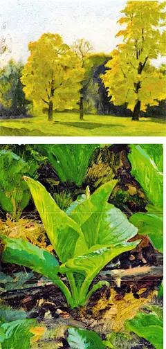 透射光（transmitted light）

阳光穿透薄或半透明材质时，光线绚丽多彩。反弹的光线会变暗，这种“彩窗效应”称透射光。

阳光穿透绿色或黄色树叶或逆光看气球、帆布甚至尼龙伞时，皆有此现象发生。

当阳光从后方照射一棵树时，哪怕你无法看清每一片树叶，也会呈现四种树叶色彩变化。可寻找如下色彩组合：透射光（1 浓重黄绿色饱和度最高）、面朝下的阴影（2阴影中，颜色深，若无反射更深），面朝上的阴影（3受天光照射偏蓝绿），和收阳光从顶上照射的叶子（4明暗交界处纹理最明显，饱和度高，但被表面的蜡的光的高明