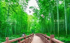 竹林  - 源文件下载【酷图网】背景墙,背景,3D背景墙,手绘背景墙,现代简约,中国风,新中式,中式背景,新中式背景墙,水墨画,水墨山水画,壁纸,壁画,壁画背景墙,电视背景墙,立体背景墙,欧式风格,简约风格,家和万事兴,中国风背景,新中式背景,中式风格,现代背景墙,背景素材,手绘,创意背景,竹林,木桥