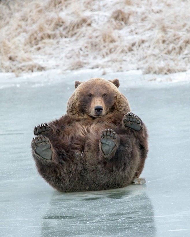 Photo by Bear on May...