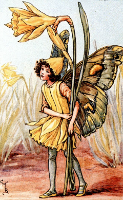 鹰眼龙雨采集到Cicely Mary Barker 画师