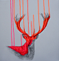 Wild Awareness : 'Wild Awareness', acrylic, spray paint and pencil on canvas, 60x60x4cm (2013)