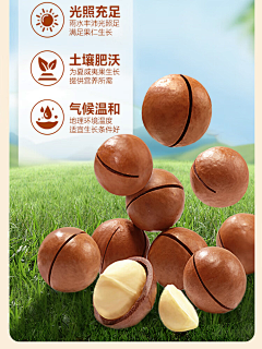沃达软采集到夏威夷果