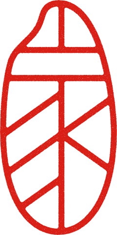 西柚水果园子采集到字体