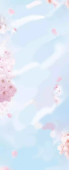 苏🍓采集到背景【小清新】