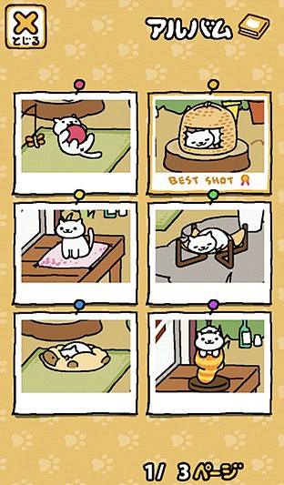 猫咪后院_猫咪后院安卓版下载_猫咪后院i...