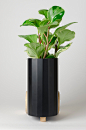 Froller : Planter Froller 