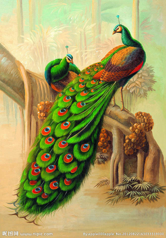 孔雀油画