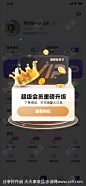 黑金会员vip弹窗UI-源文件-志设网-zs9.com
