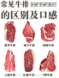 常见牛排部位