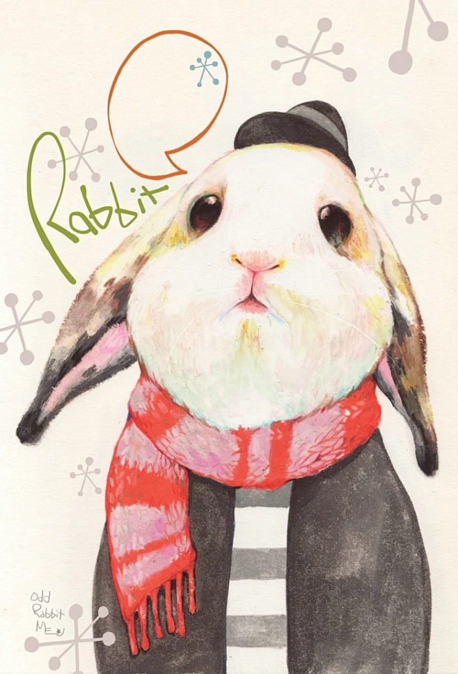 rabbit-花瓣网