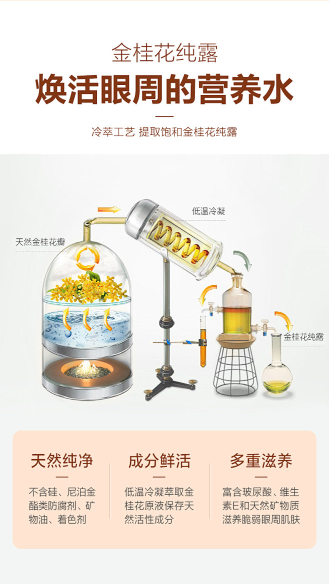 金桂花眼膜淡化细纹紧致去黑眼圈学生熬夜旗...