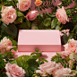 a pink box surrounded by fresh roses and green leaves, in the style of nature-inspired imagery, simplicity, monochromatic color palettes, 32k uhd, lively tableaus, pastel hues, kitsch aesthetic, delicacy of touch