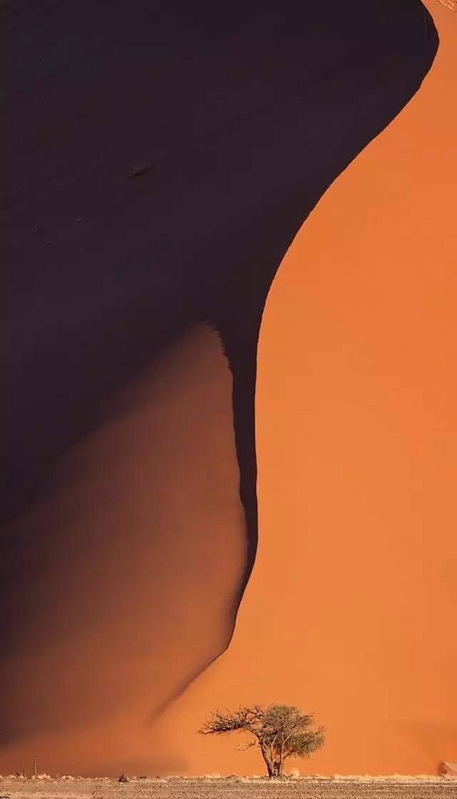 沙漠
