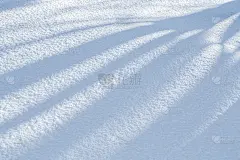 抽象冬雪白色纹理。圣诞节的背景。季节性的新鲜白色雪自然背景壁纸与树的阴影在地面上。第一次霜冻。脆的纹