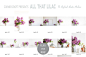丁香图片素材场景包 Lilac Styled Stock Photo Bundle