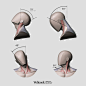 Main shapes & Muscles of the Neck, Gusztav Velicsek