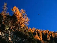 唯美四季自然景观摄影高清壁纸桌面壁纸3