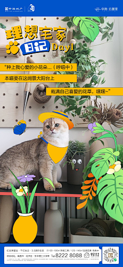 一起摸鱼去采集到系列稿